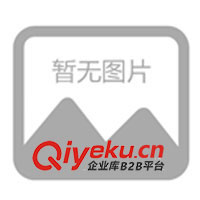 供應(yīng)普斯90KVA/100KVA單相變頻電源(圖)